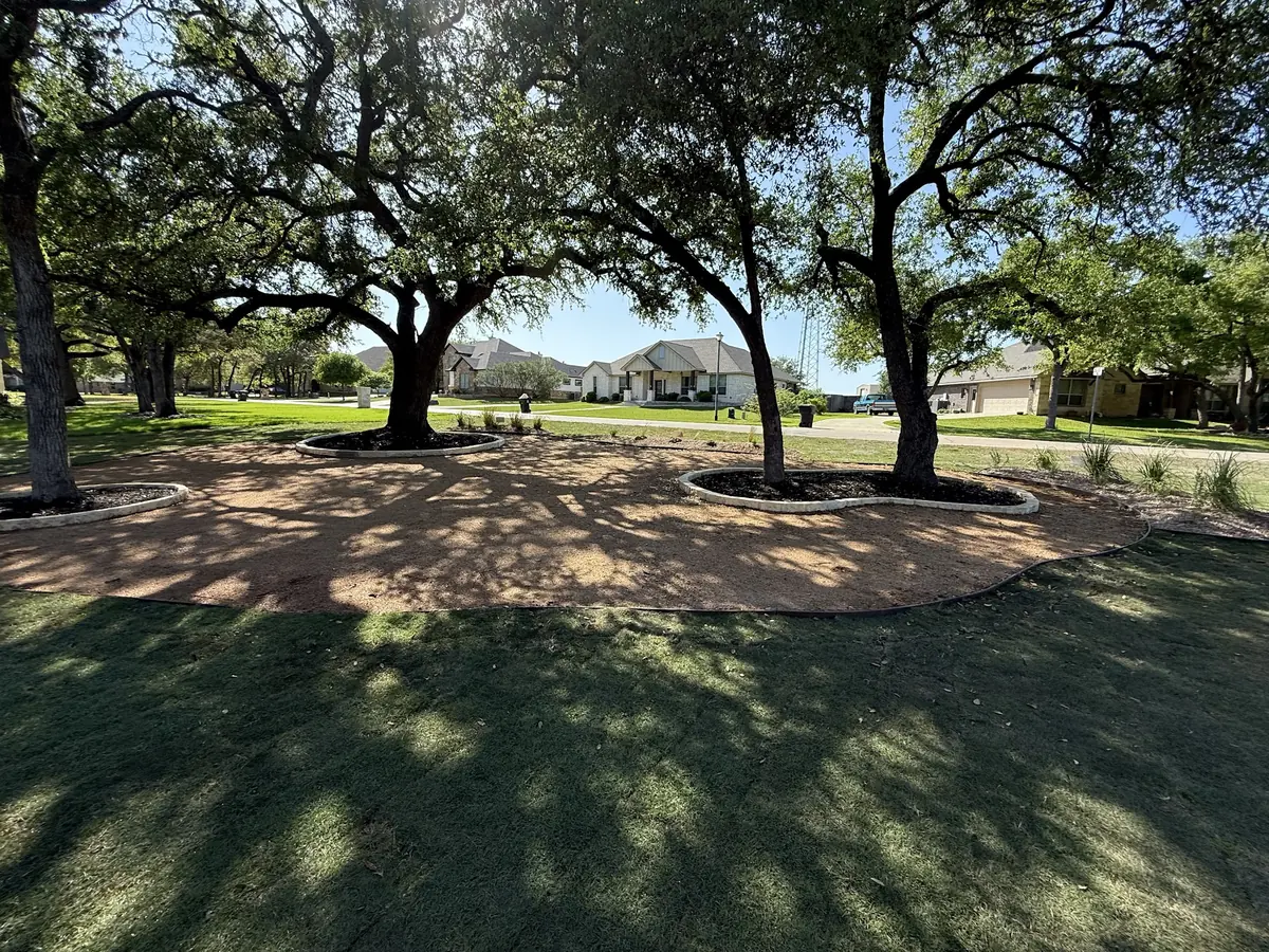 Sod & Planting — Agaves Landscape Construction & Irrigation, Belton, Texas